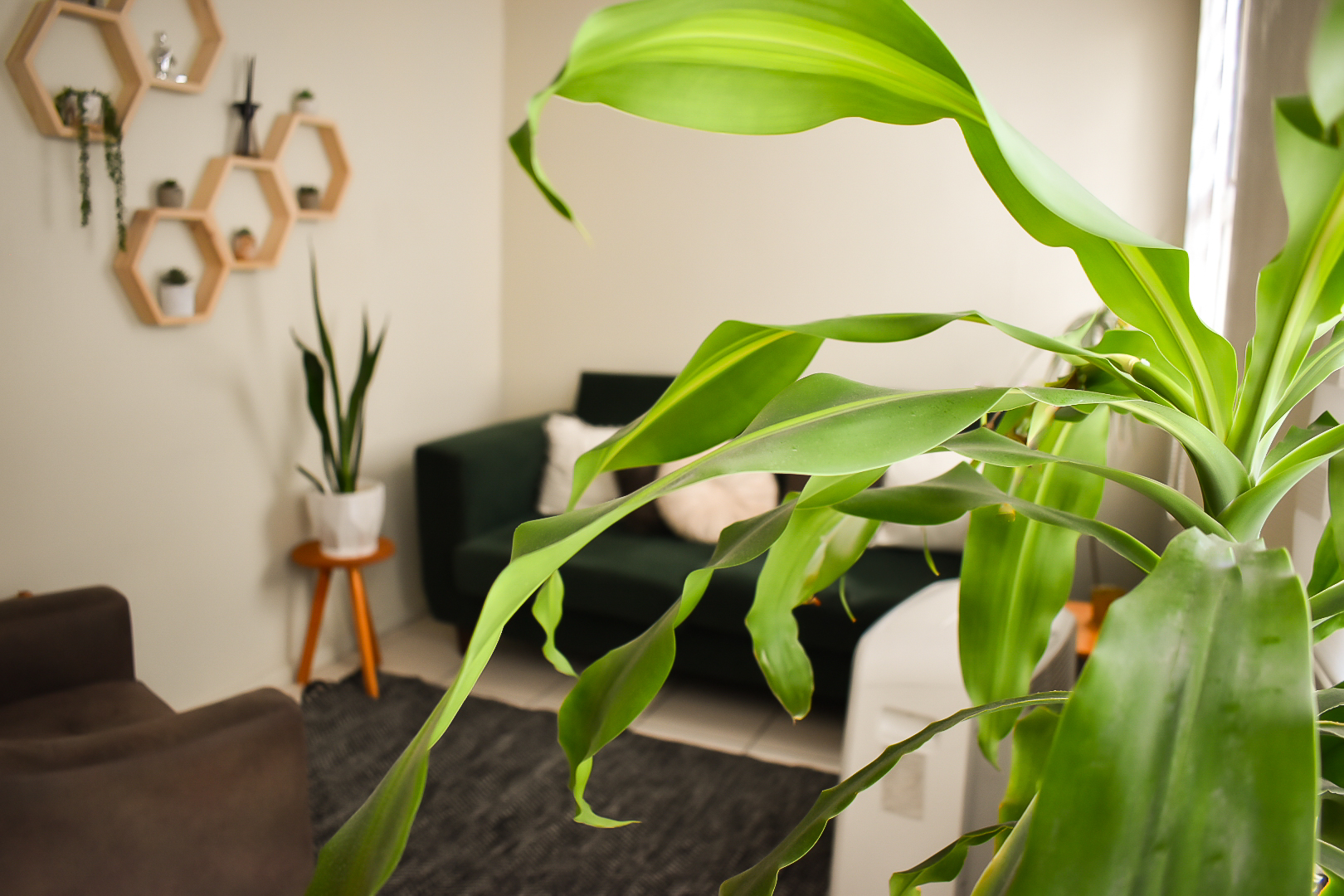 Sala de terapia con decoración moderna.